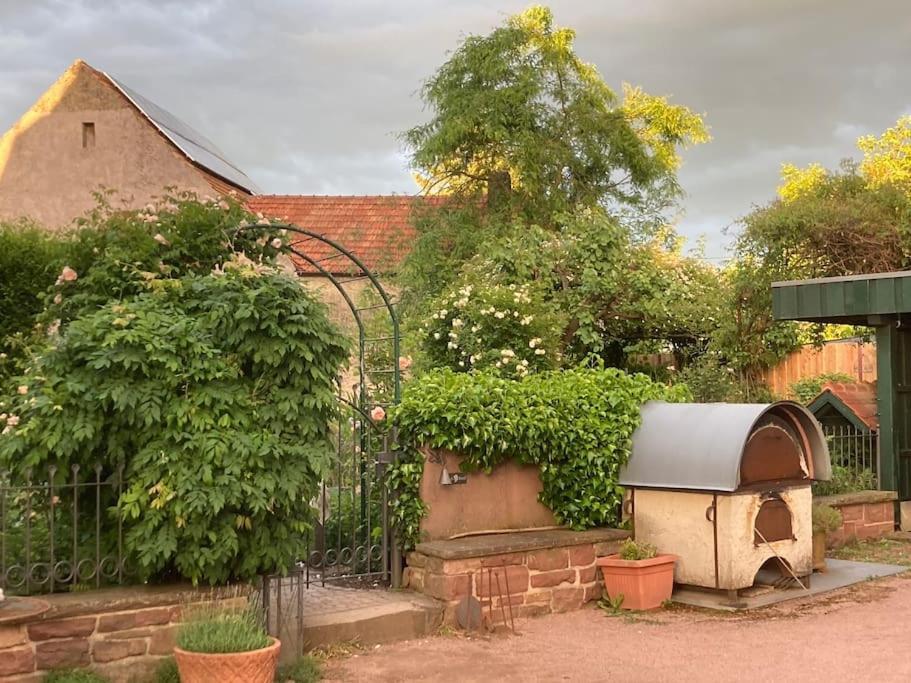 Charmante, Grosszuegige Ferienwohnung Villa Fleurie ブレッテン エクステリア 写真